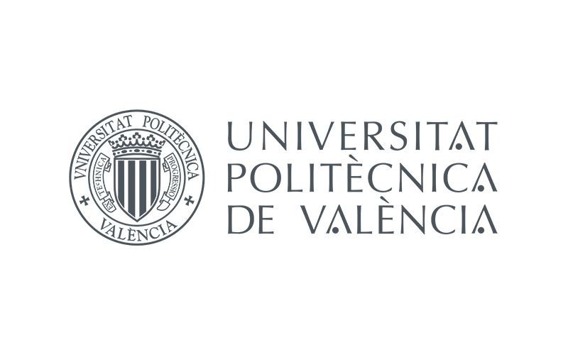 UNIVERSITAT POLITECNICA DE VALENCIA